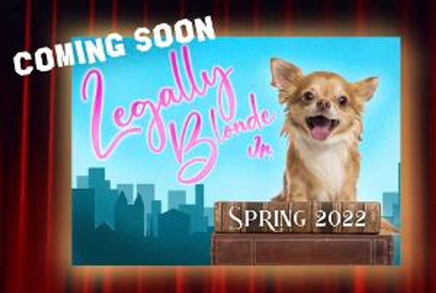 Audition Now for LEGALLY BLONDE JR. in Orlando  Image