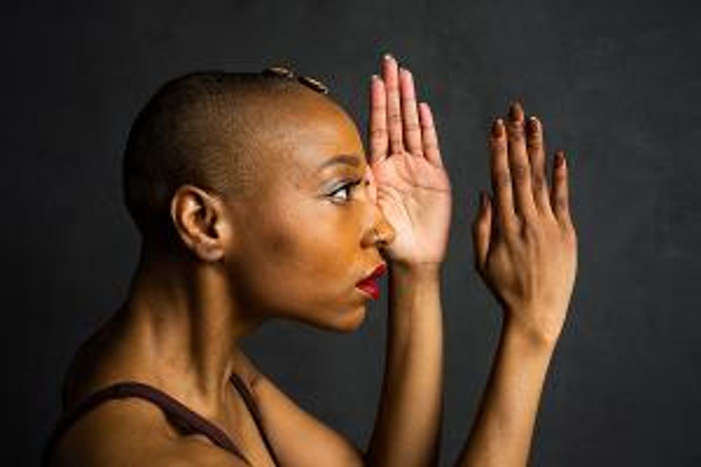 Deeply Rooted Dance Theater to Perform Throughout Chicago This Summer  Image