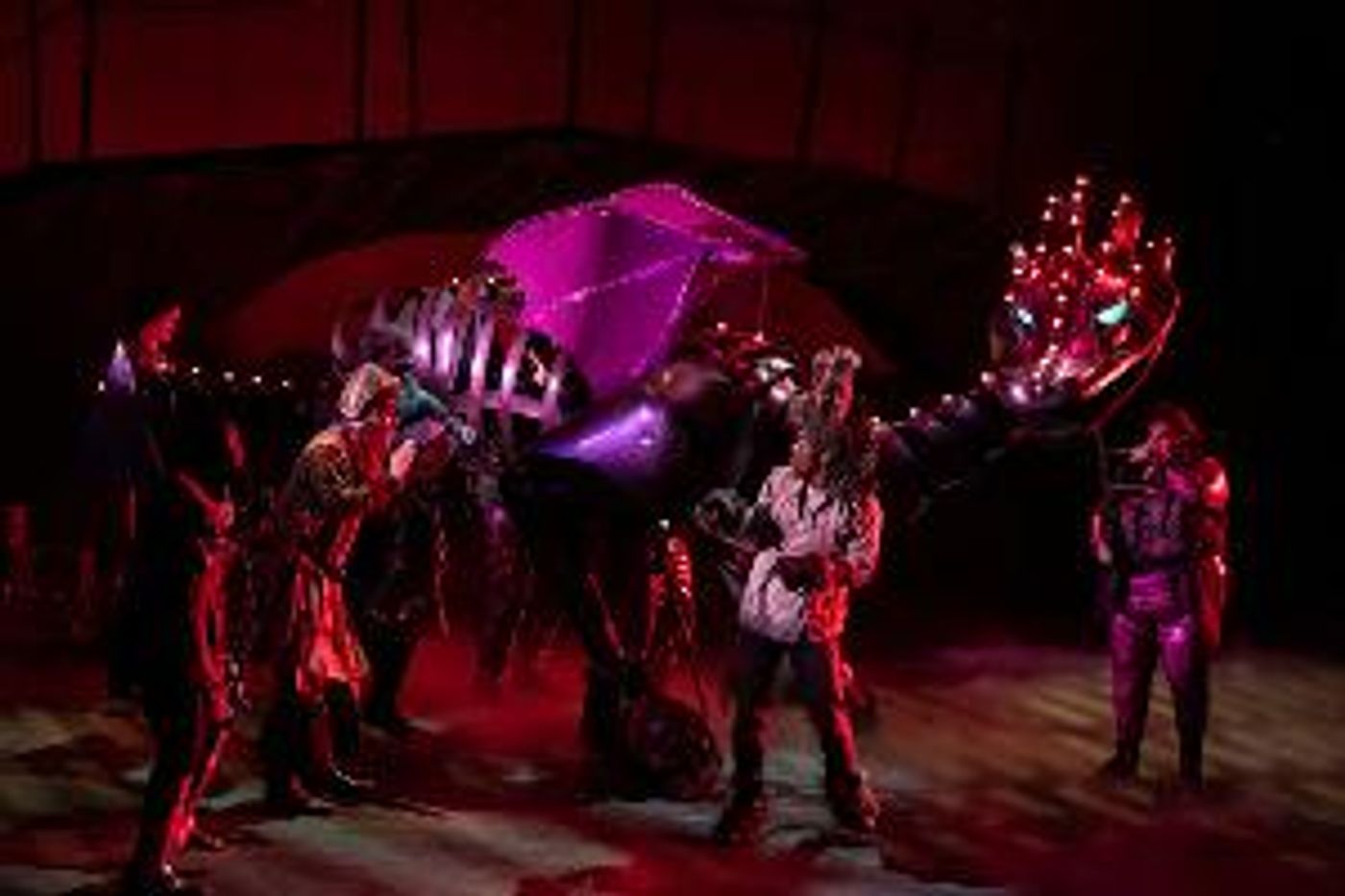 Children's Theatre Of Charlotte Presents SHREK THE MUSICAL  Image