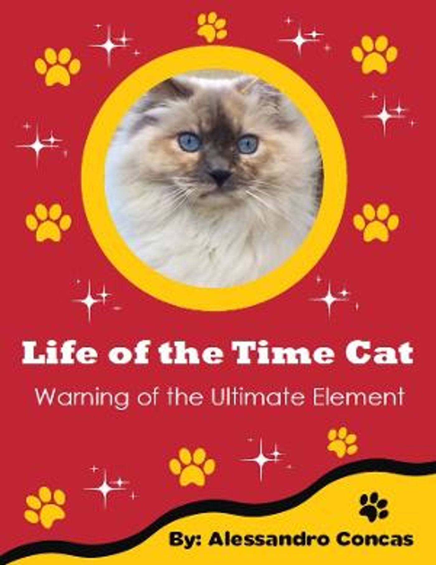 Alessandro Concas Releases New Book, 