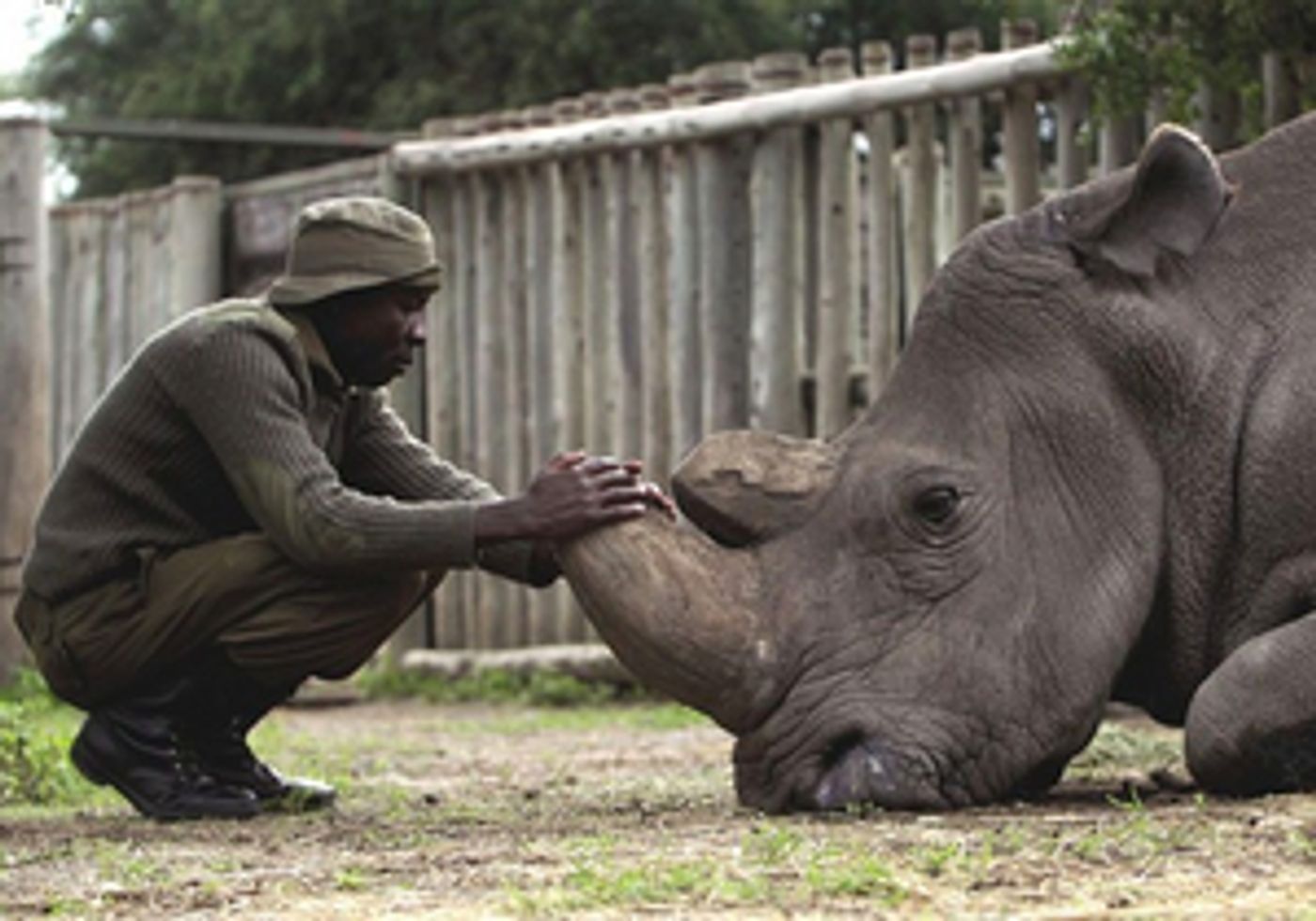 Hamptons International Film Festival's FOR SAMA & KIFARU Directors Talk Documentaries On Tom Needham's SOUNDS OF FILM  Image