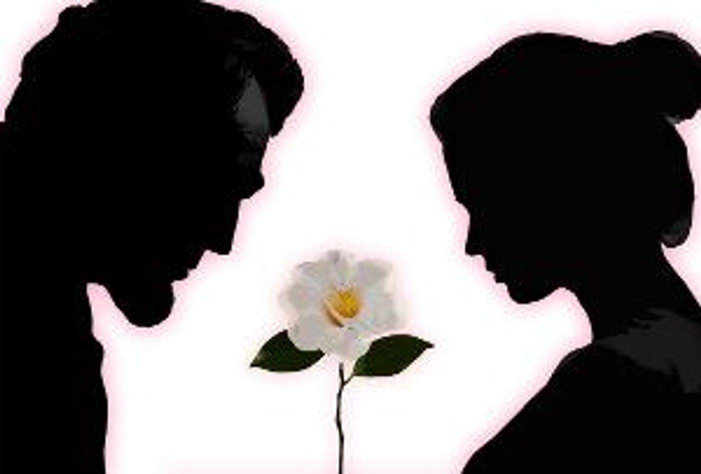 Terence L. Cranert's New Musical THE LINCOLNS OF SPRINGFIELD To Open in Illinois This Summer  Image