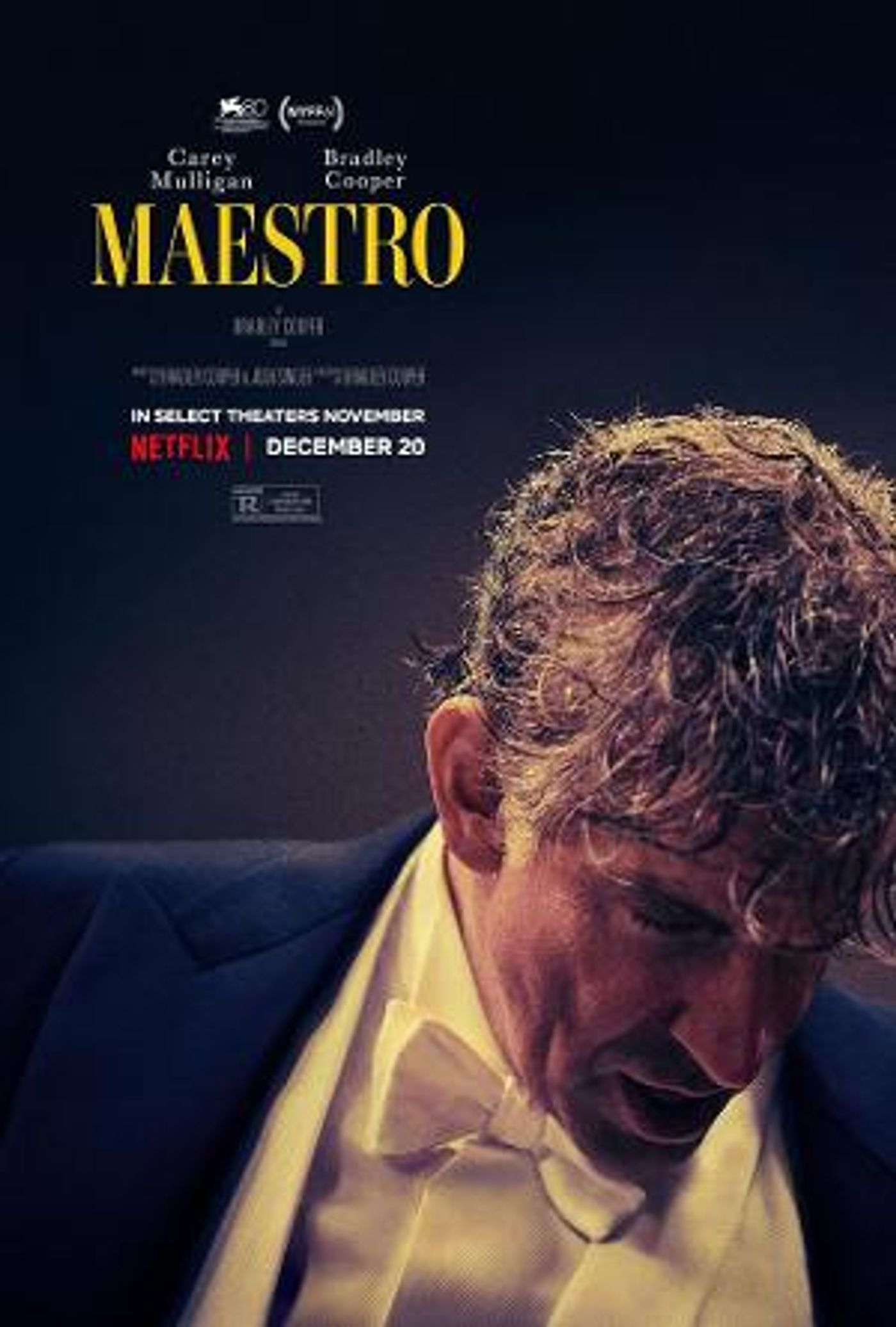 MAESTRO to Play At The Plaza Cinema And Media Arts Center In Patchogue, NY  Image
