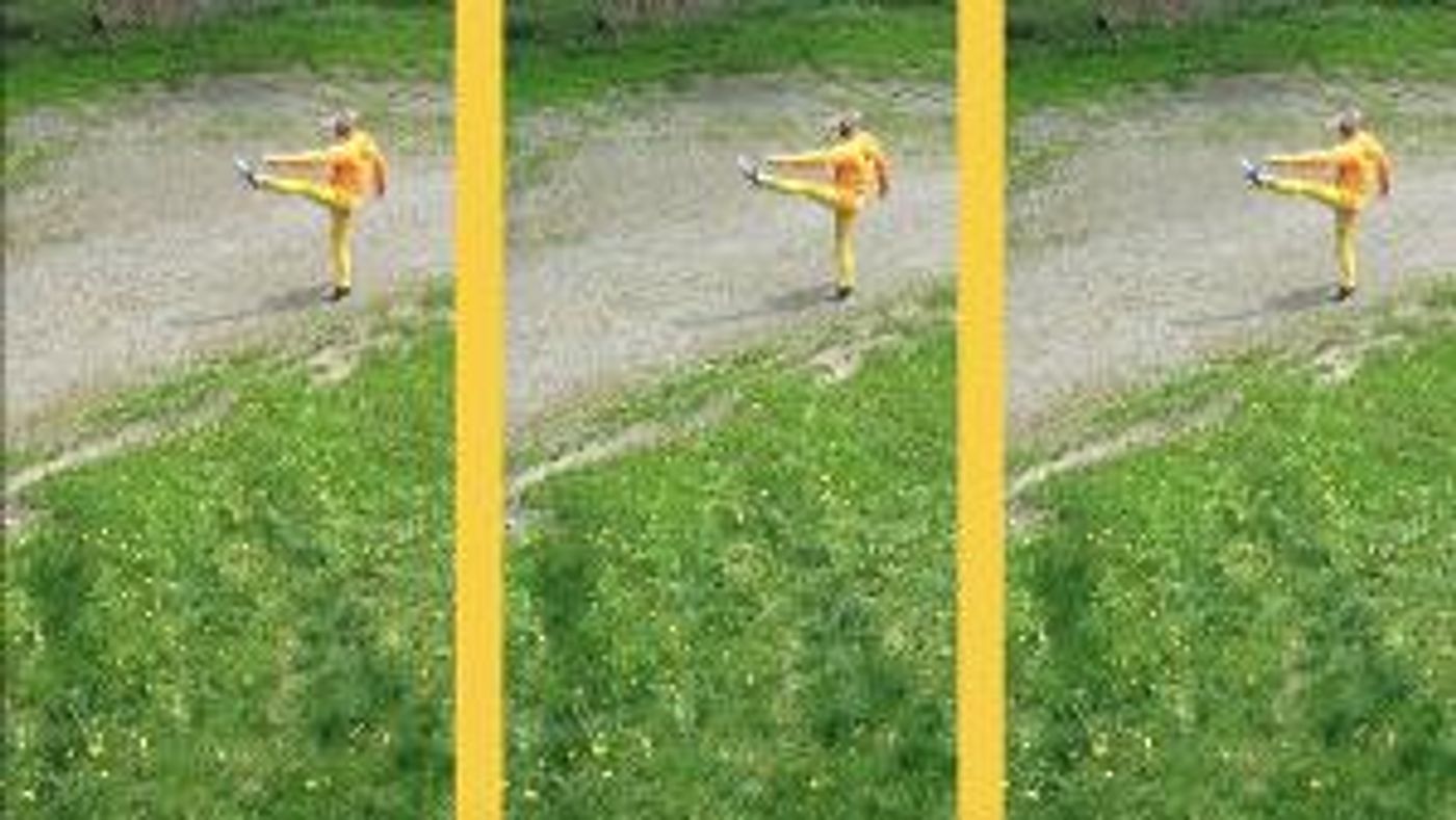 Daniel Gwirtzman Dance Company Presents DANDELION, The First In A Series Of Monthly Dance Films  Image