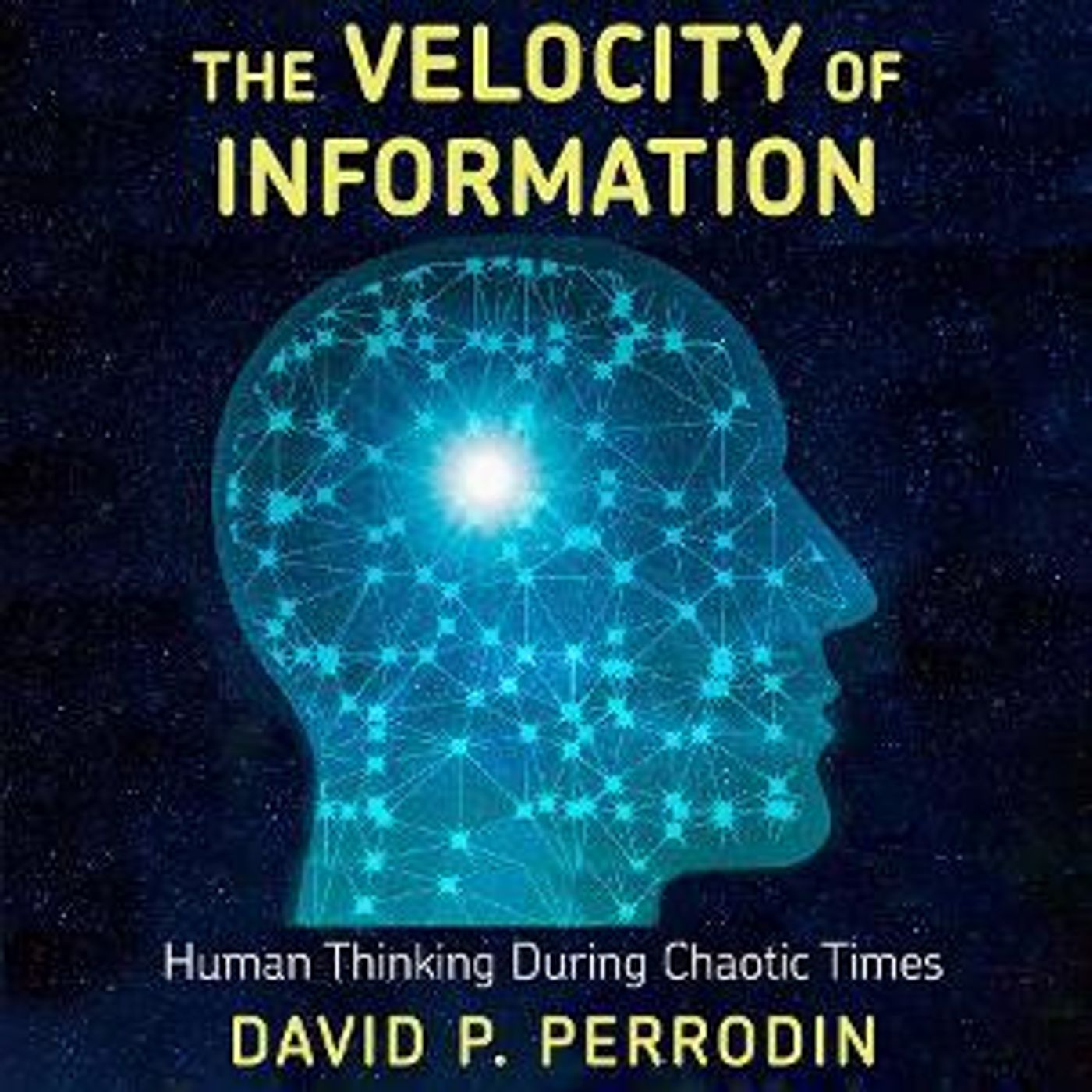 'The Velocity Of Information,' By David P. Perrodin, Ph.D Now Available As An Audiobook  Image