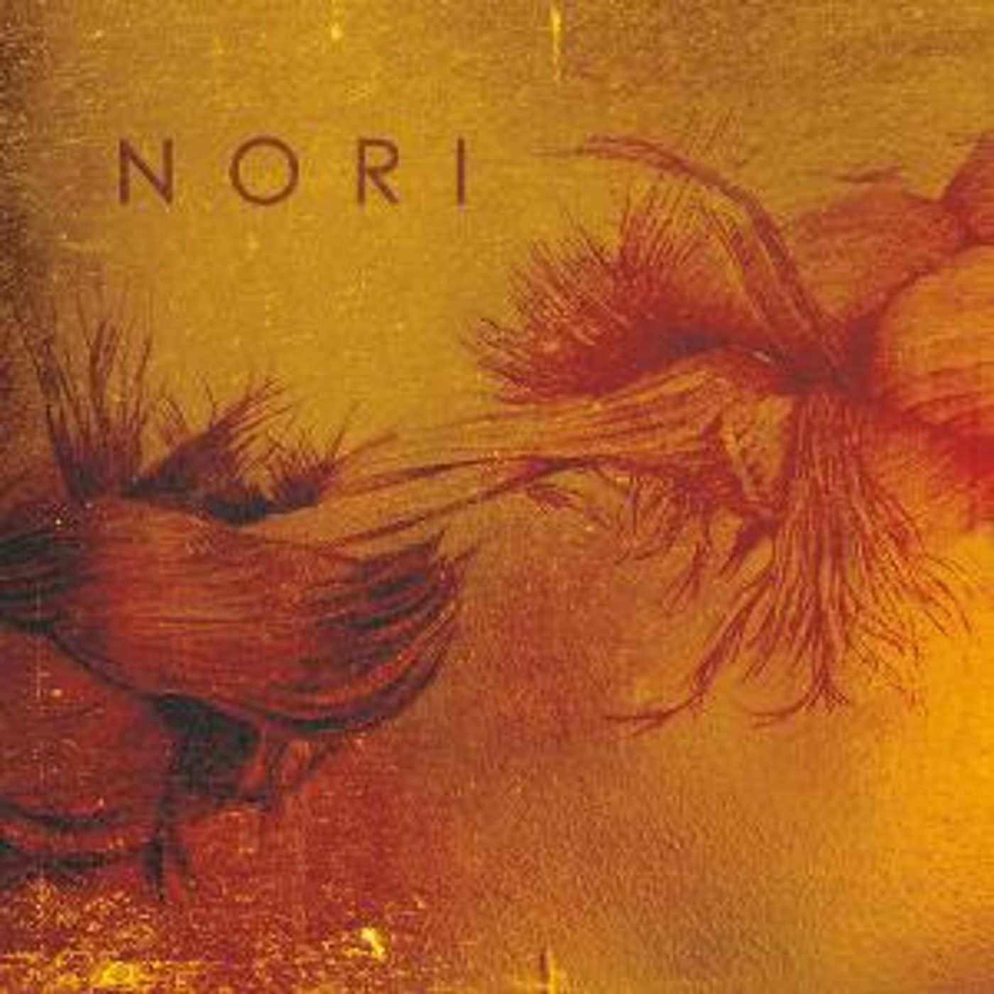 Austin-Based Neo Jazz Quintet Nori Releases Self-Titled Album  Image