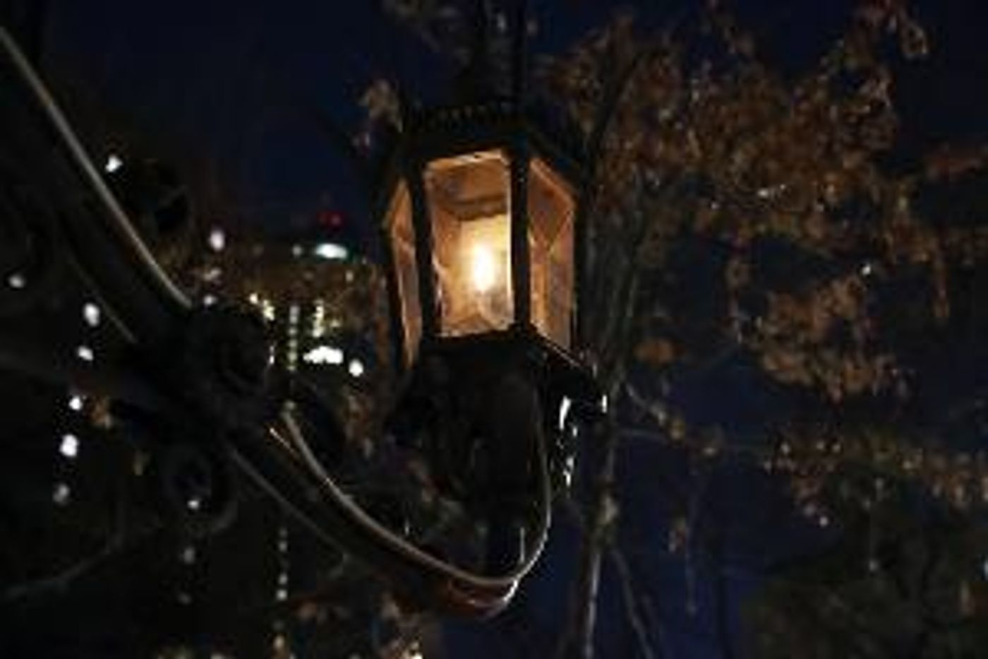 The Players Return to In-Person Gatherings  Image