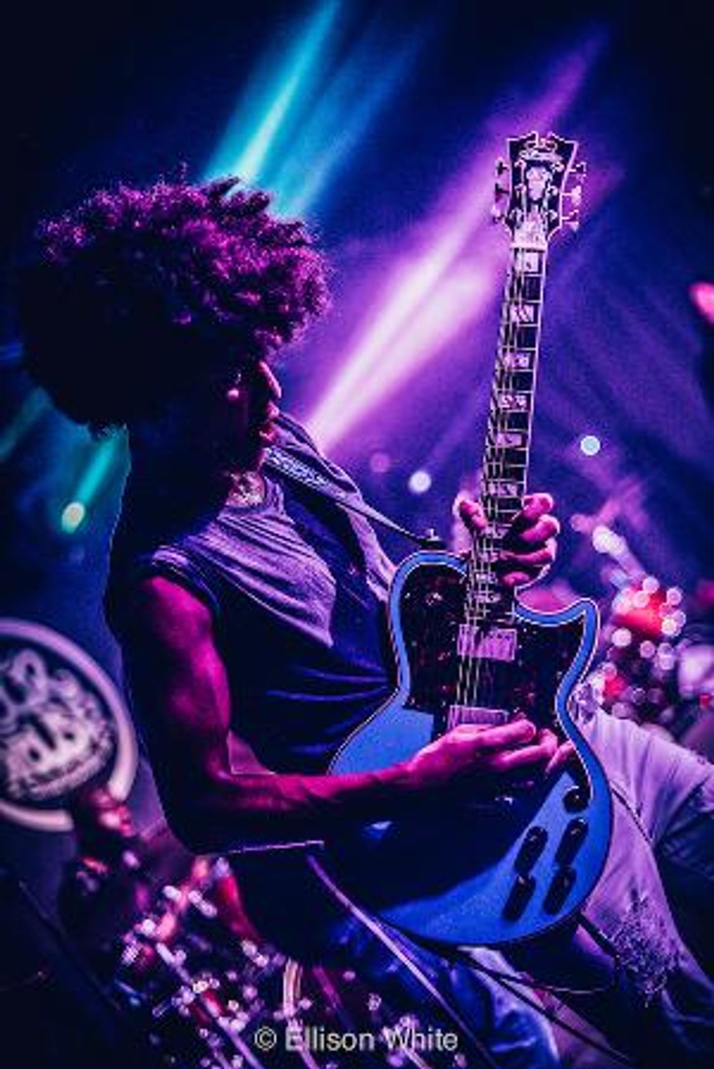 SCHOOL OF ROCK Alumni Brandon 'Taz' Niederauer To Perform In Concert At The Lizzie Rose Music Room  Image