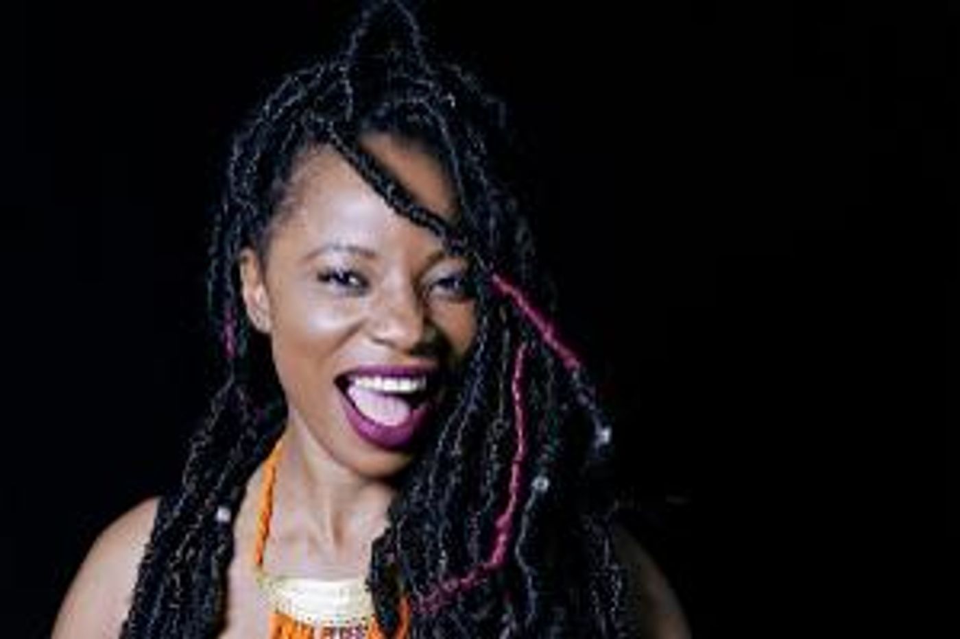 World Music Institute Presents Natu Camara At City Winery  Image