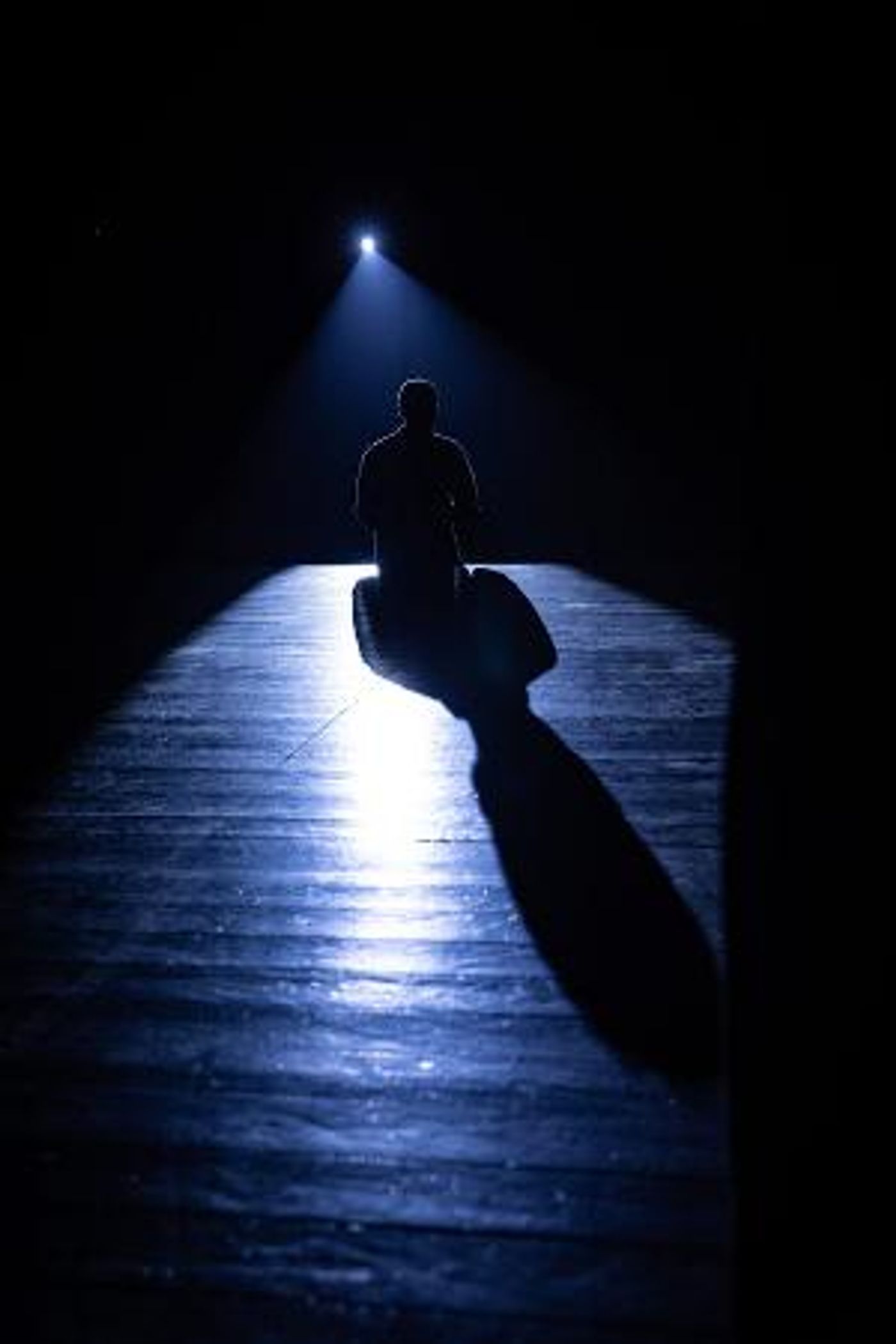 The Cherry Orchard Festival to Present I AM HERE Starring Anatoly Beily In Boston, Philadelphia & More  Image