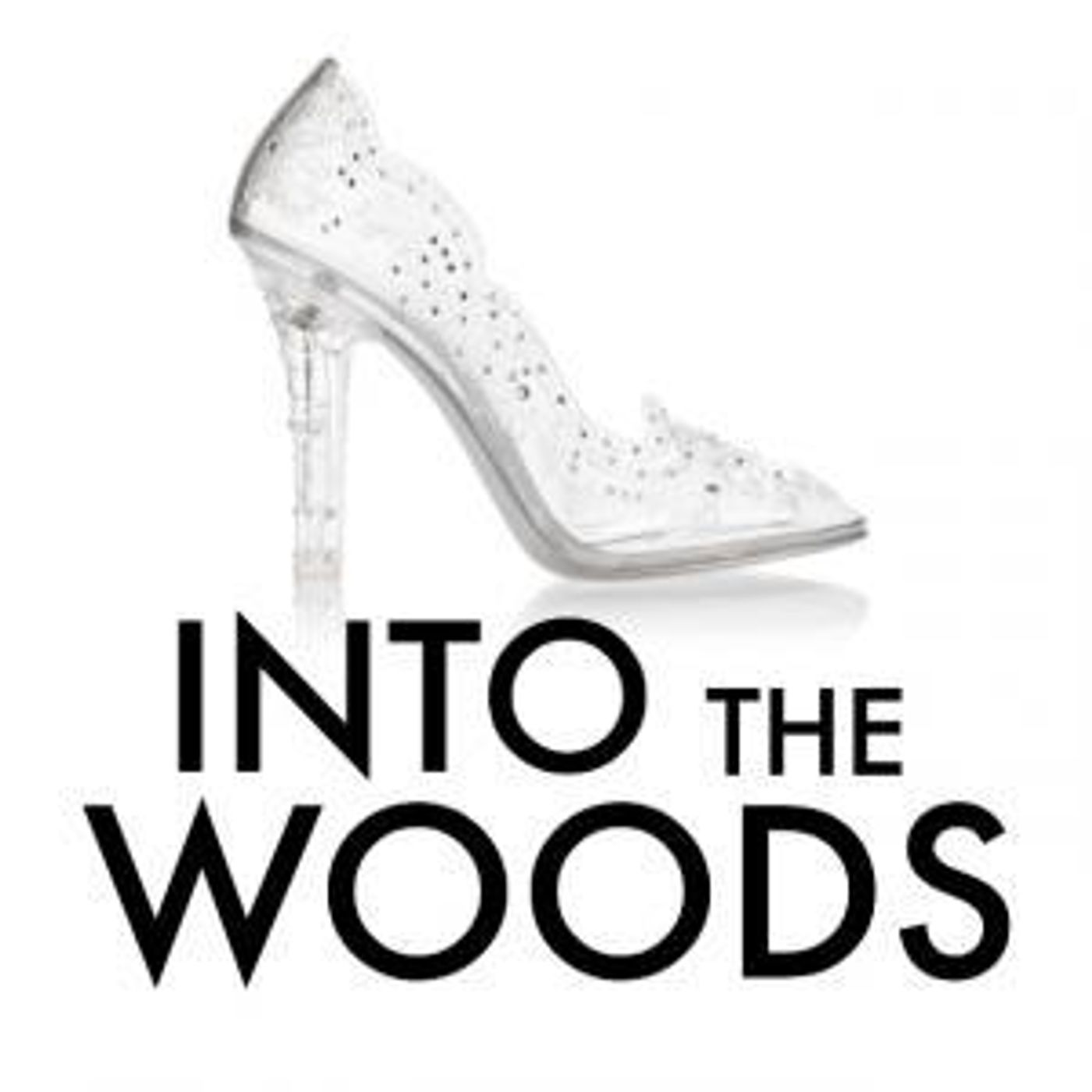 Music Mountain Theatre Opens INTO THE WOODS  Image