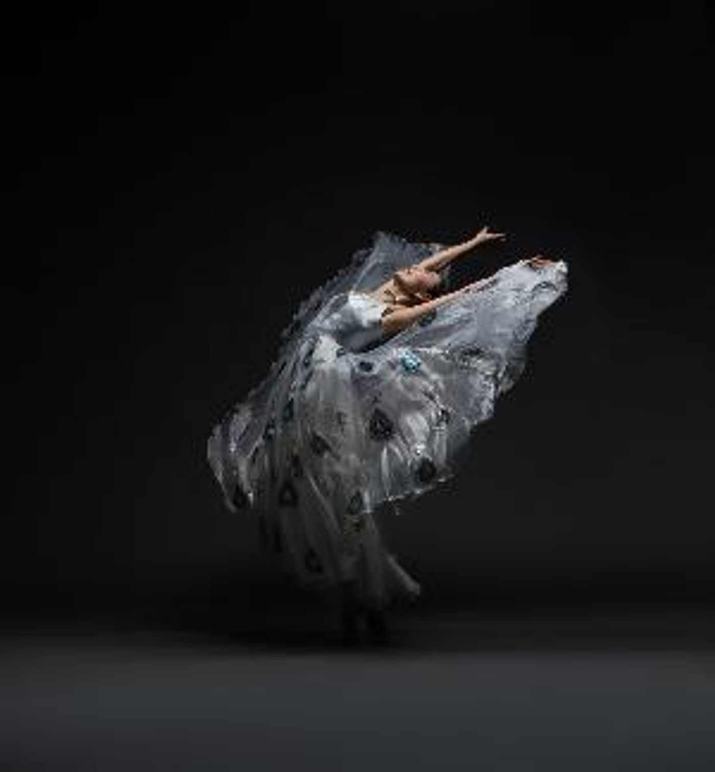 Nai-Ni Chen Dance Company Celebrates The Lunar New Year: Year Of The Black Water Rabbit At NJPAC  Image