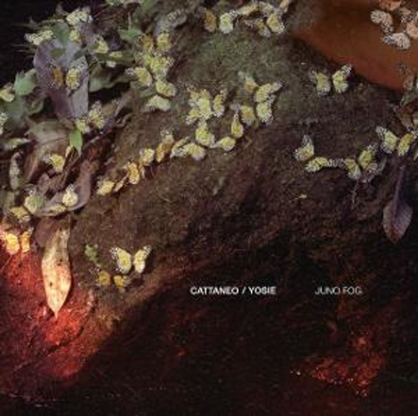 Cattaneo and Yosie Collaborate on Latest Single 'Juno Fog'  Image