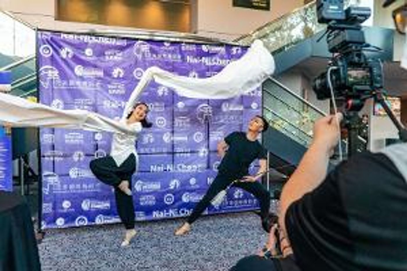 Pan American Chinese Dance Alliance Presents The 7th Annual Taoli World Dance Competition  Image