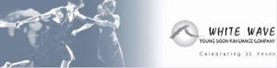White Wave Dance Now Accepting Applications For 22nd Annual DUMBO Dance Festival Image