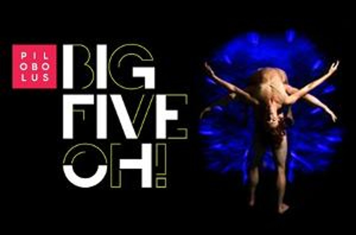 The McKnight Center to Celebrate Pilobolus Dance Company's 50th Anniversary  Image