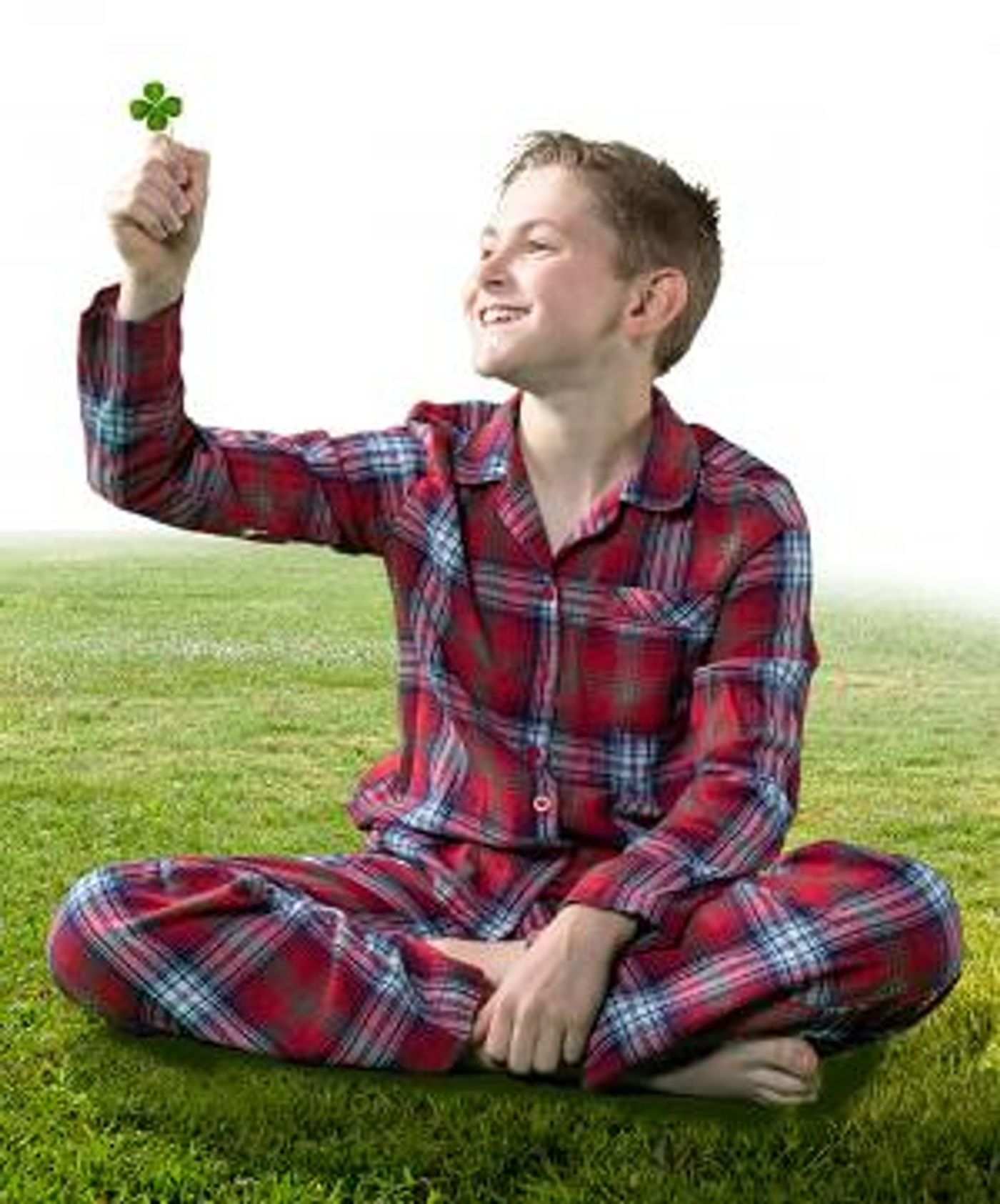 Cast Announced For World Premiere ON PINE KNOLL STREET  Image