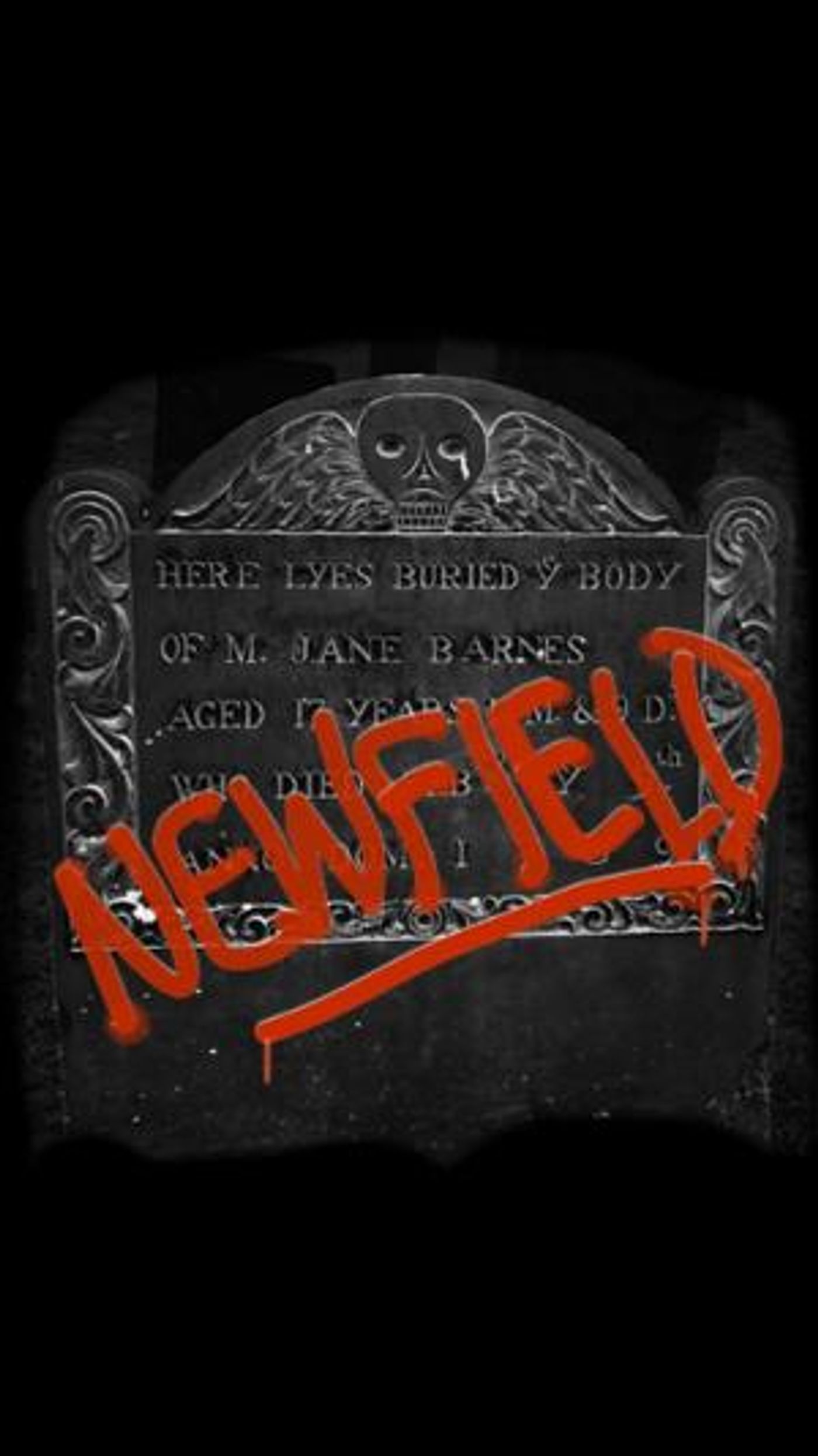 Kate Baldwin and More To Star In New Scripted Podcast NEWFIELD  Image