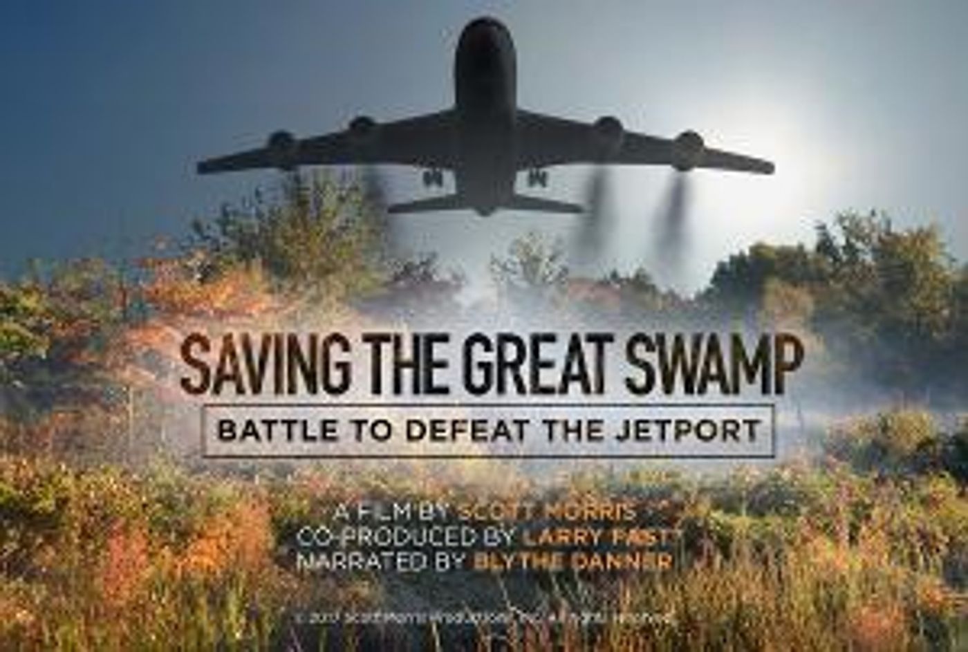 The Morris County Economic Development Alliance To Screen SAVING THE GREAT SWAMP, April 25  Image