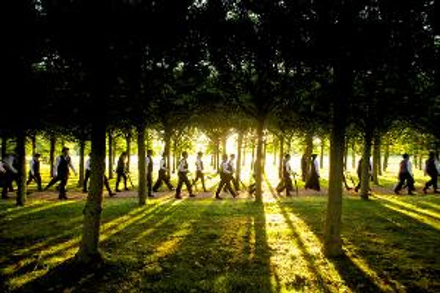 The Voice Project Choir Takes Summer Project Online  Image