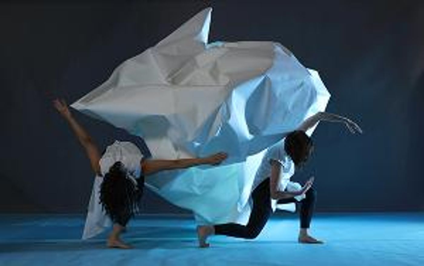 Hillsborough Community College to Present INTERGLACIAL by Laura Peterson Choreography  Image