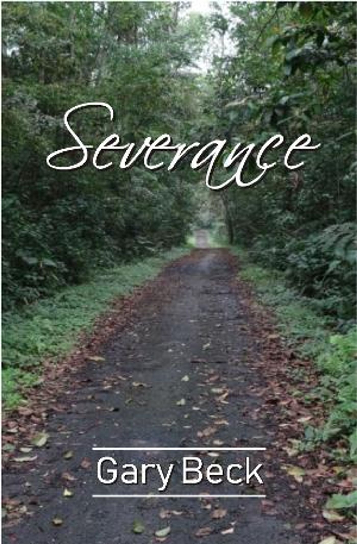 Gary Beck's New Poetry Book SEVERANCE Released  Image