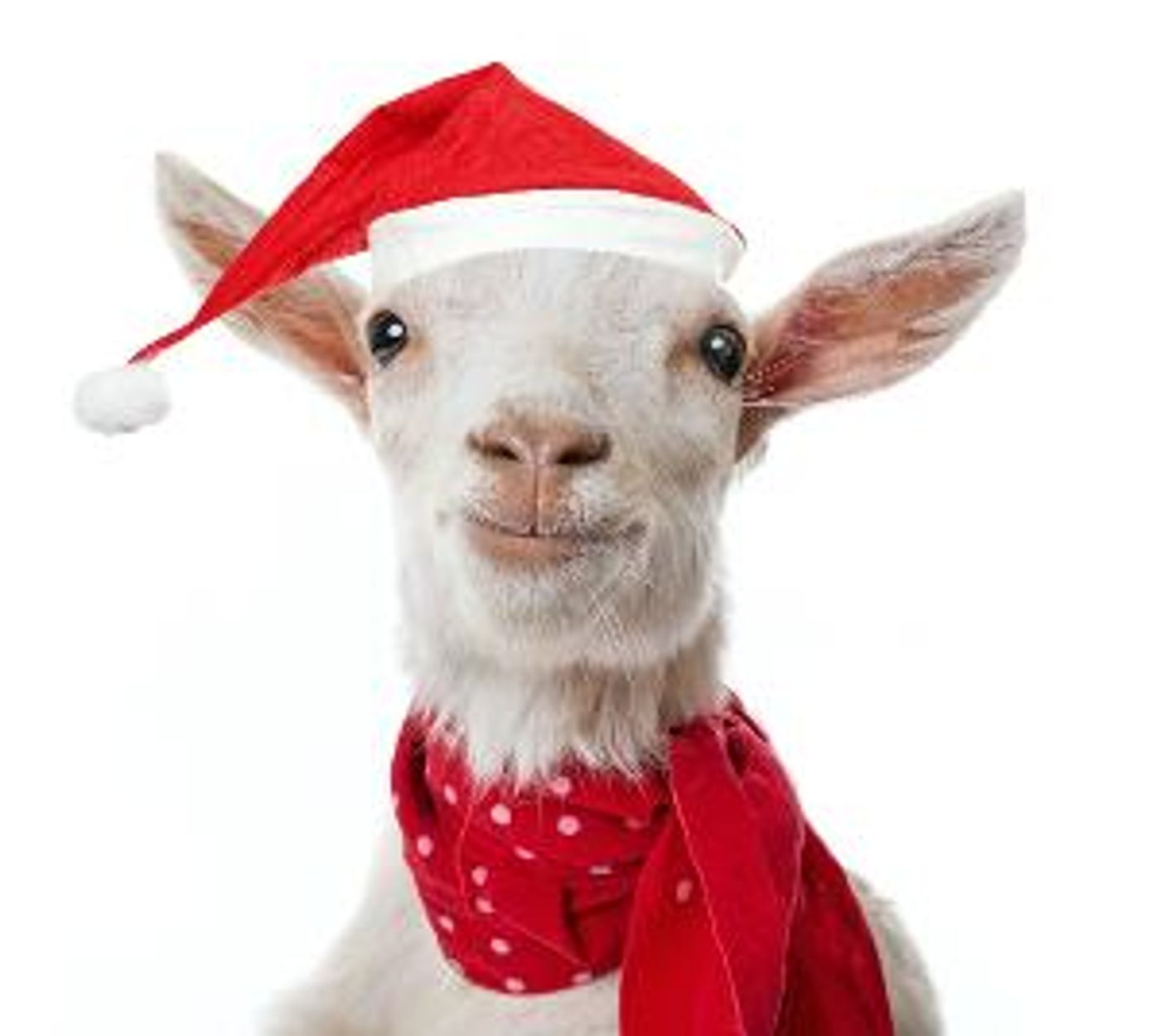 Open-Door Playhouse Debuts THE CHRISTMAS GOAT Next Month  Image