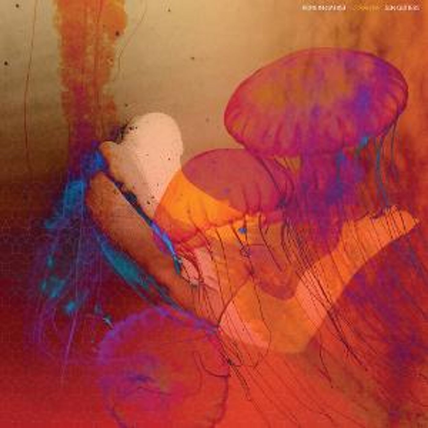 Sun Glitters Teams Up With Rome In Reverse On 'Coralline' Single  Image