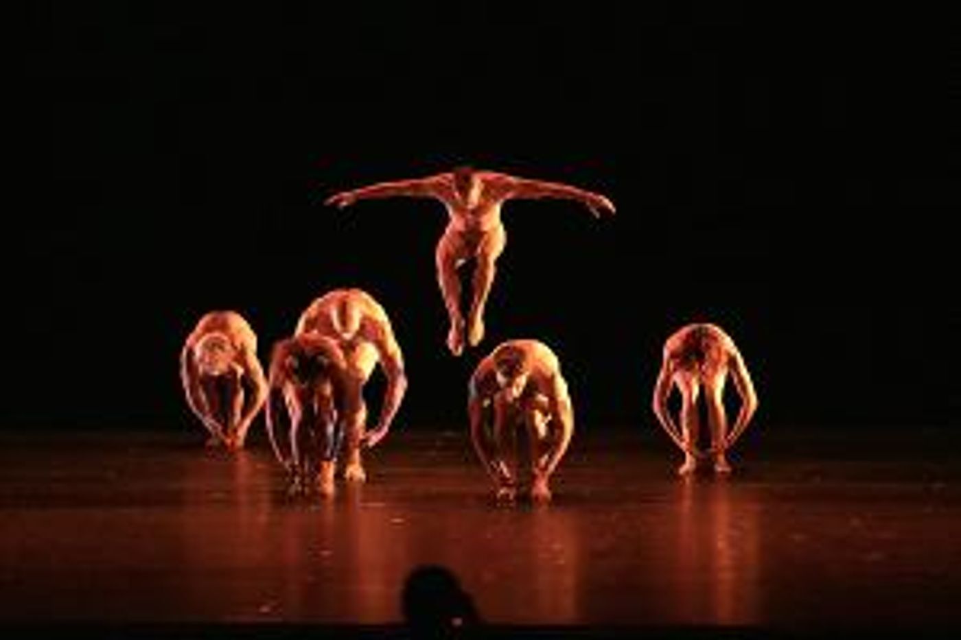 South Miami-Dade Cultural Arts Center Presents PILOBOLUS: THE BIG FIVE-OH!  Image