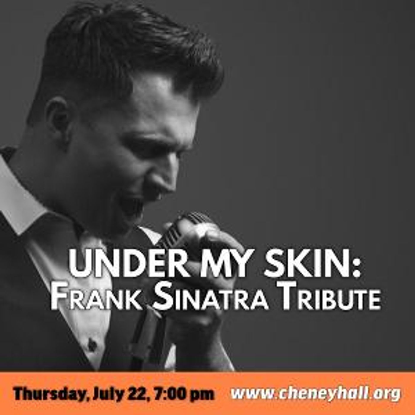 Rich Dimare to Perform UNDER MY SKIN: A Frank Sinatra Tribute at Cheney Hall  Image