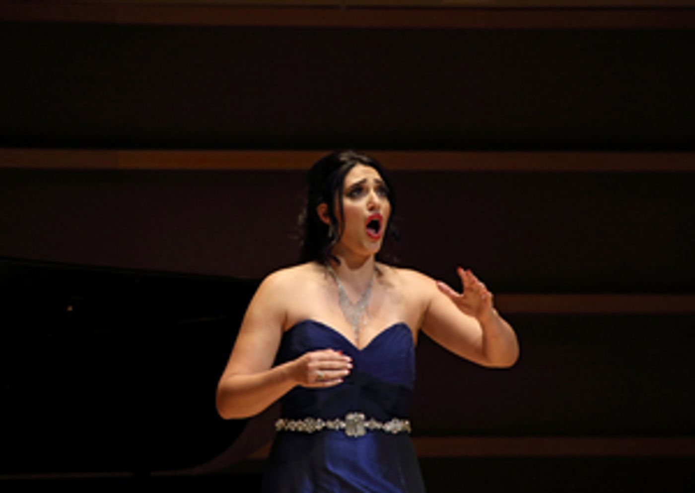 AVA Hosts Evening Of Singing And Vocal Fireworks At Bel Canto Competition  Image