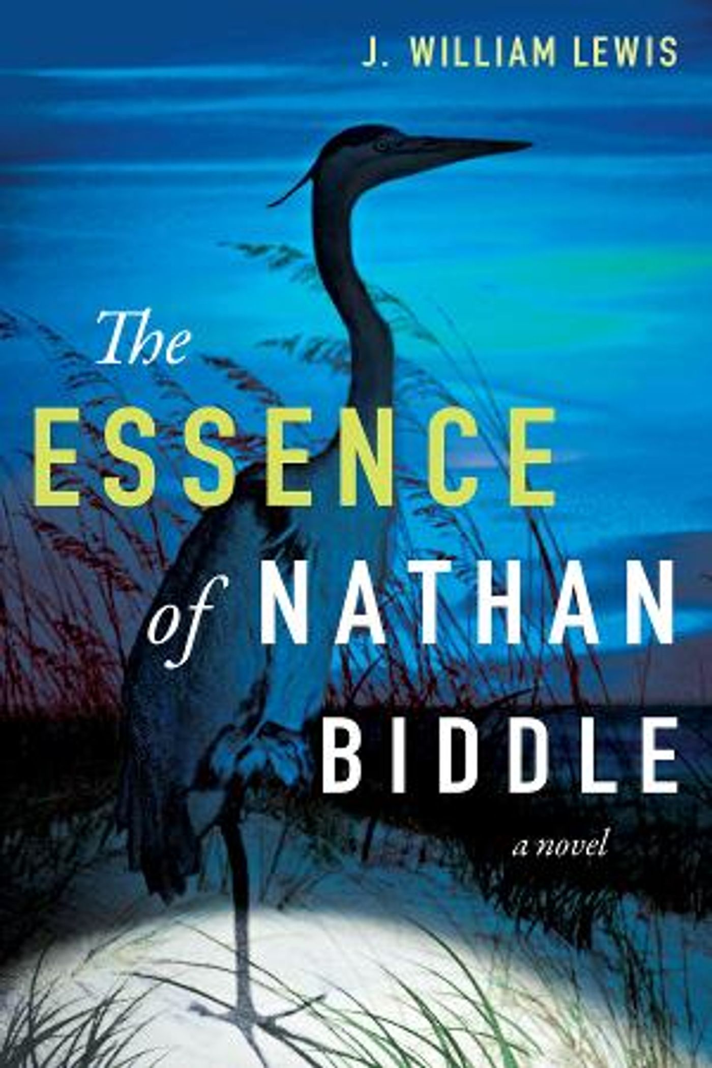 THE ESSENCE OF NATHAN BIDDLE by J. William Lewis Awarded Silver Medal in 2022 Feathered Quill Book Awards  Image