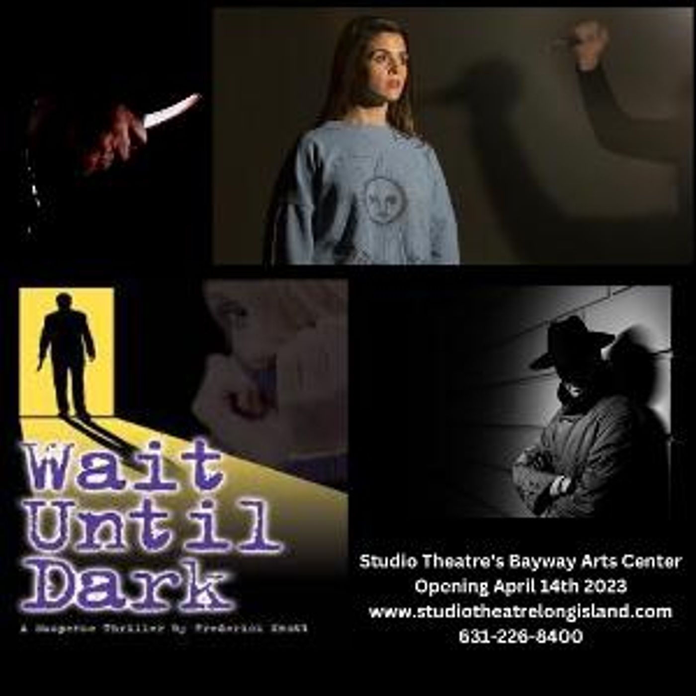 Studio Theatre's Bayway Arts Center to Present WAIT UNTIL DARK This Month  Image