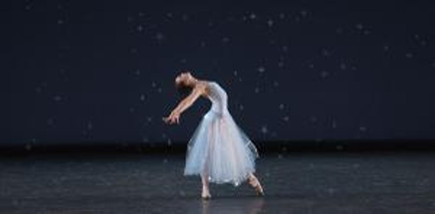 Ballet Arizona Awarded Generous Grant From The Diane & Bruce Halle Foundation  Image