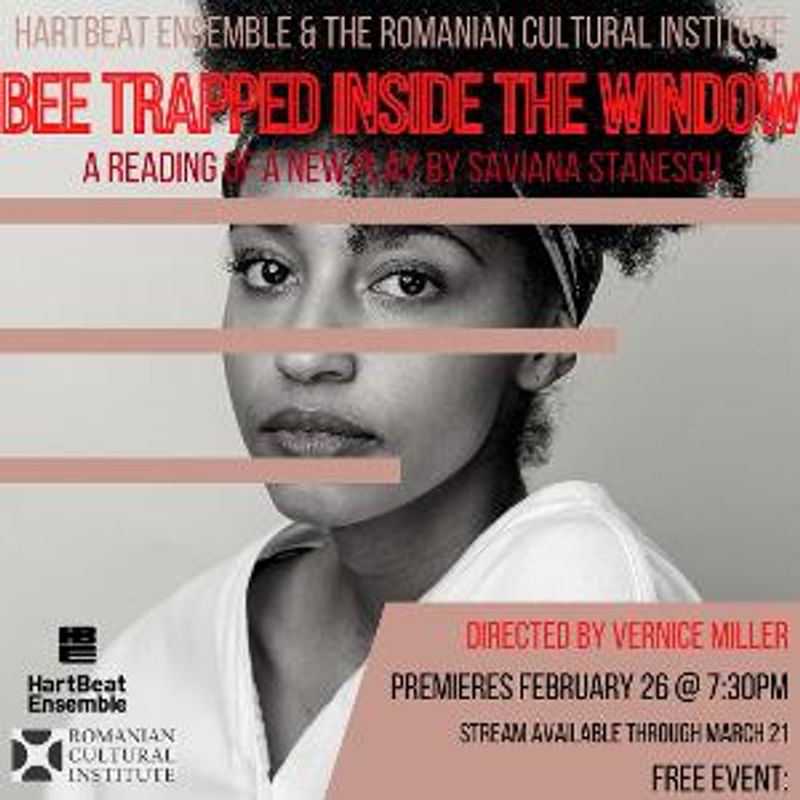 Saviana Stanescu's Provocative New Play About Domestic Slavery Presented On-Demand By HartBeat Ensemble Image