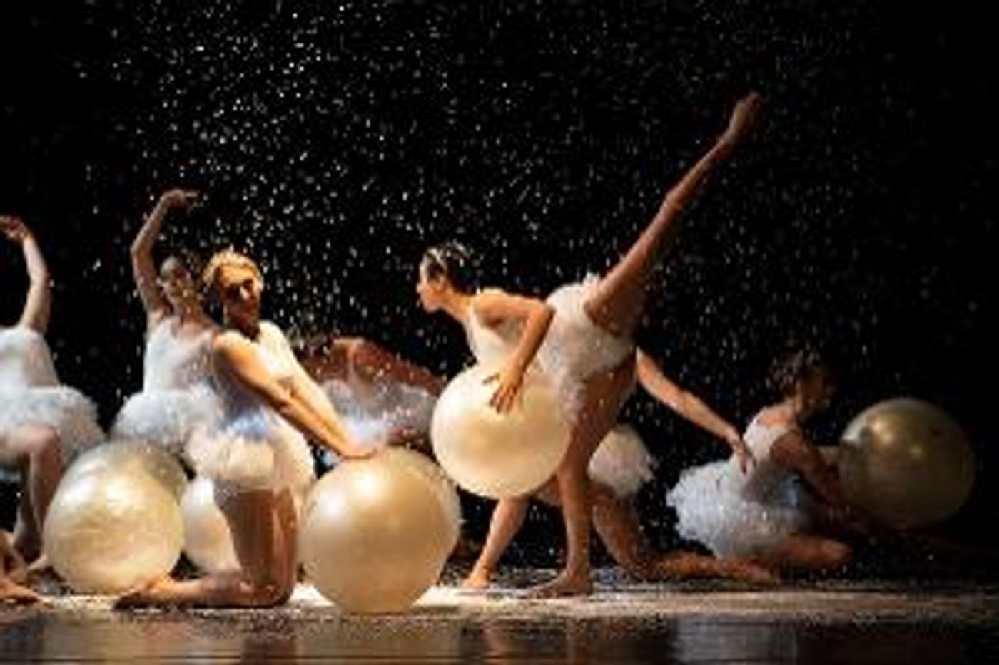 NUTRACKER SUITE & SPICY Streams For Free This Holiday  Image