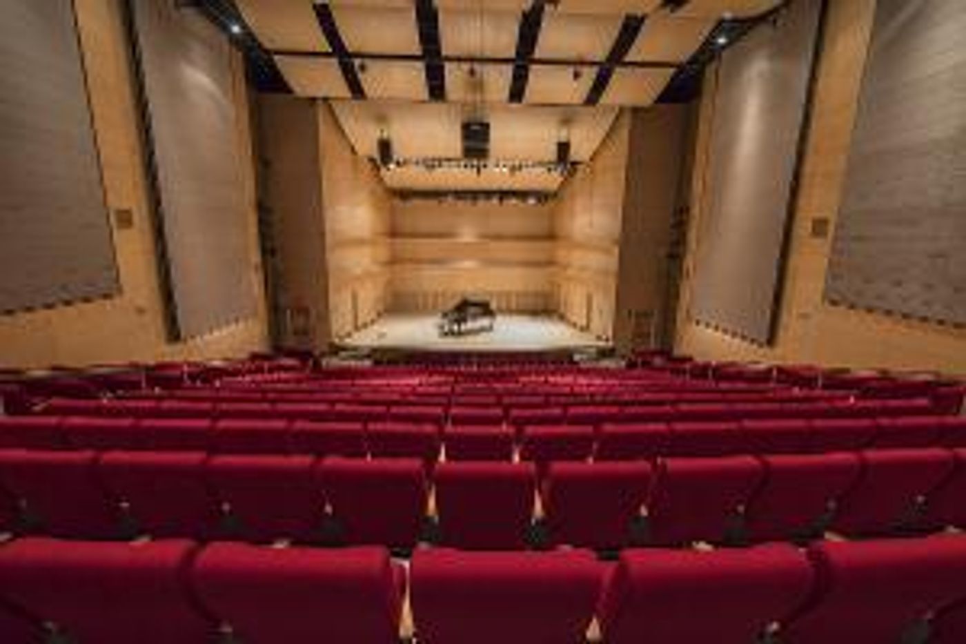 Adelphi Symphony Orchestra Presents Evening Of Classical Music This Month  Image