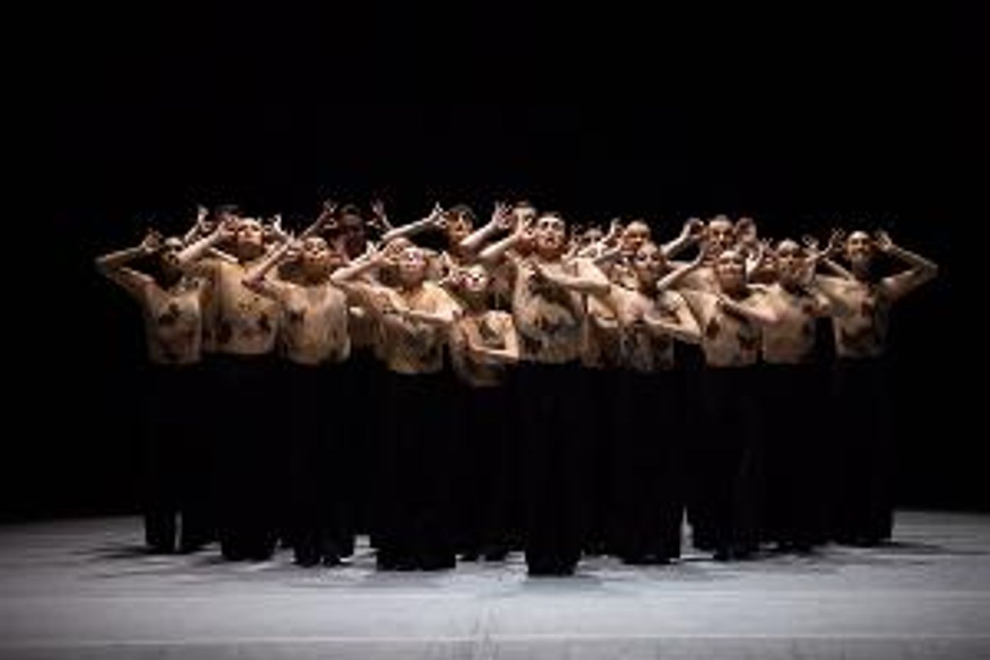 David Hallberg Joins The Cast In The Australian Ballet's KUNSTKAMER Live-Streamed Globally, June 10  Image