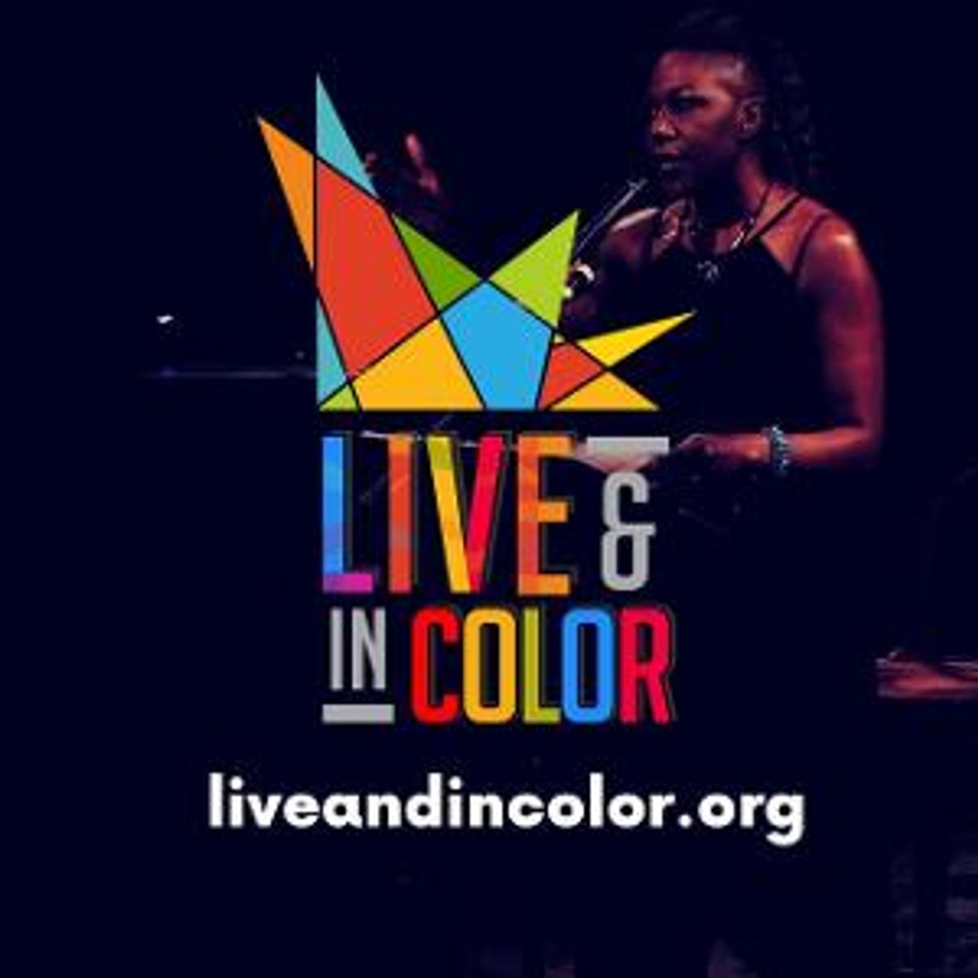 Submissions Now Open For The 2024 June Bingham New Playwright Commission  Image