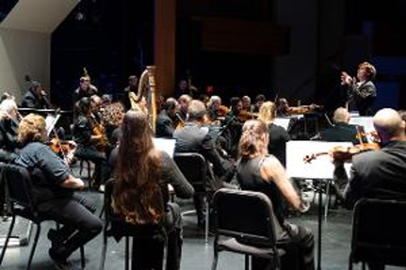 Symphony Of The Americas Performs SYMPHONIC FIREWORKS: BEETHOVEN'S FIFTH Conducted By Artistic Director Pablo Mielgo  Image