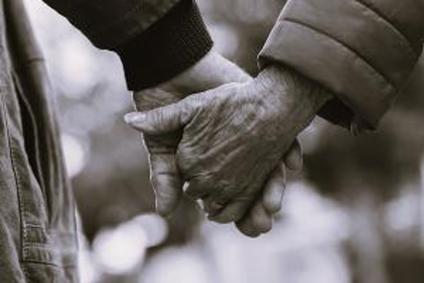 ACCEPTING ADINA Debuts February 15 At Open-Door Playhouse  Image