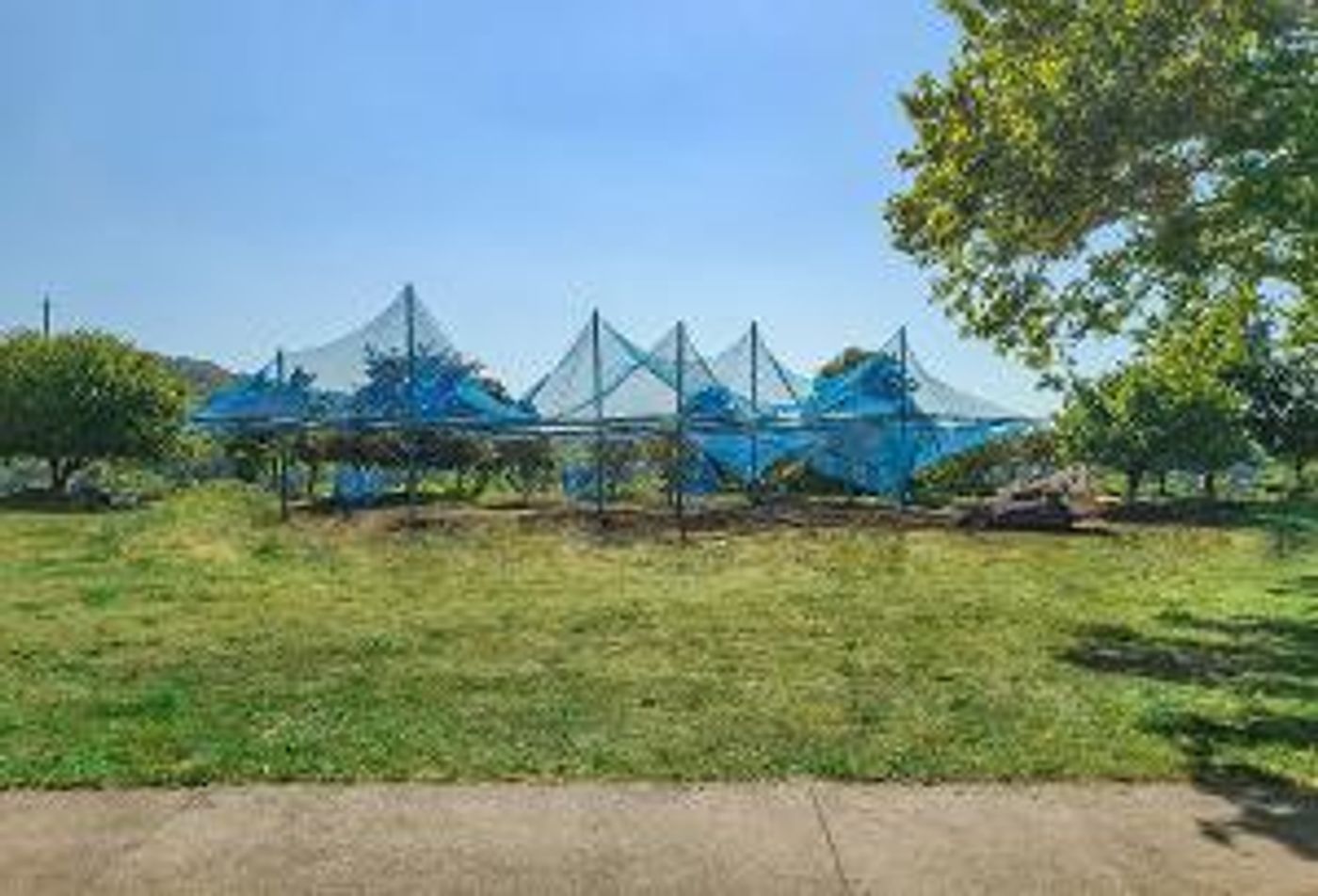 Artpark to Unveil Two New Public Artworks This Fall  Image