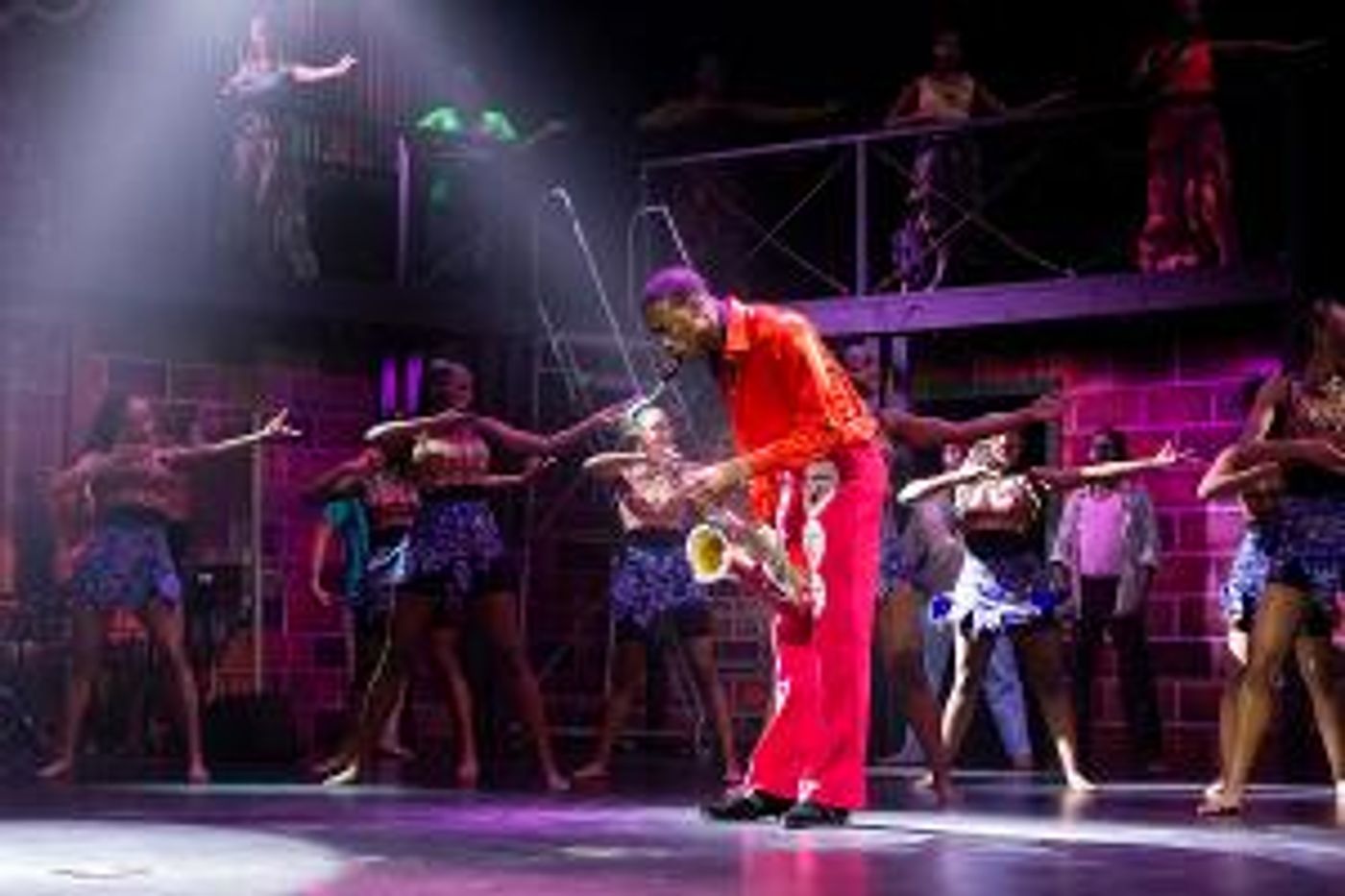 Samantha Williams To Host Screening Of First Amateur Production Of FELA!  Image