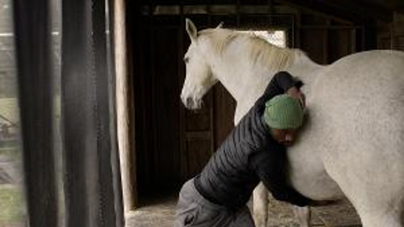 The National Arts Club to Present IMPRINTED: AN IMMERSIVE DANCE JOURNEY  Image