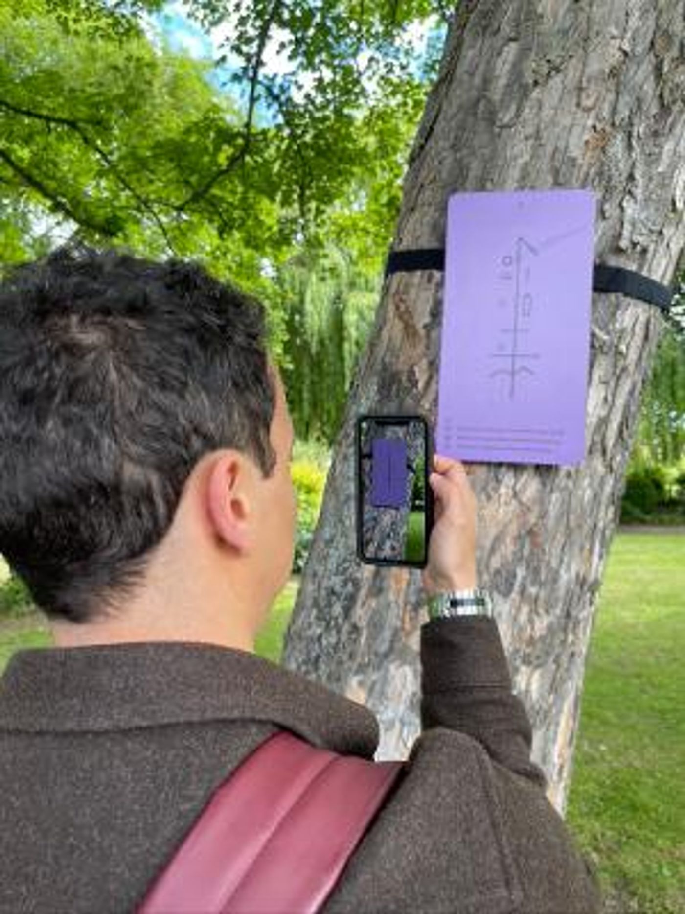 The City's Trees Will be Alive With The Sound of Music this August Bank Holiday  Image
