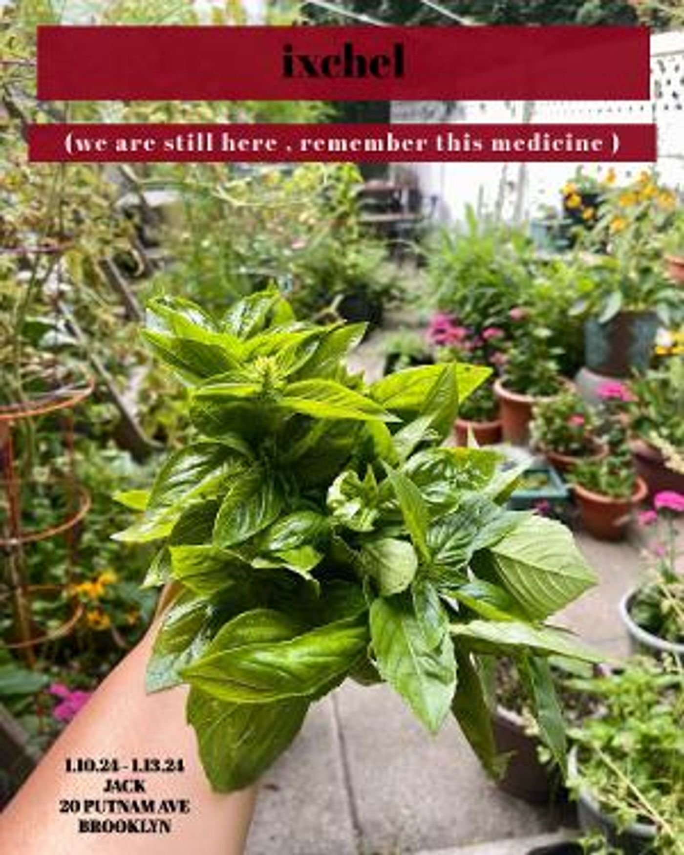 The Exponential Festival to Present Cristina Pitter's IXCHEL (WE ARE STILL HERE, REMEMBER THIS MEDICINE)  Image