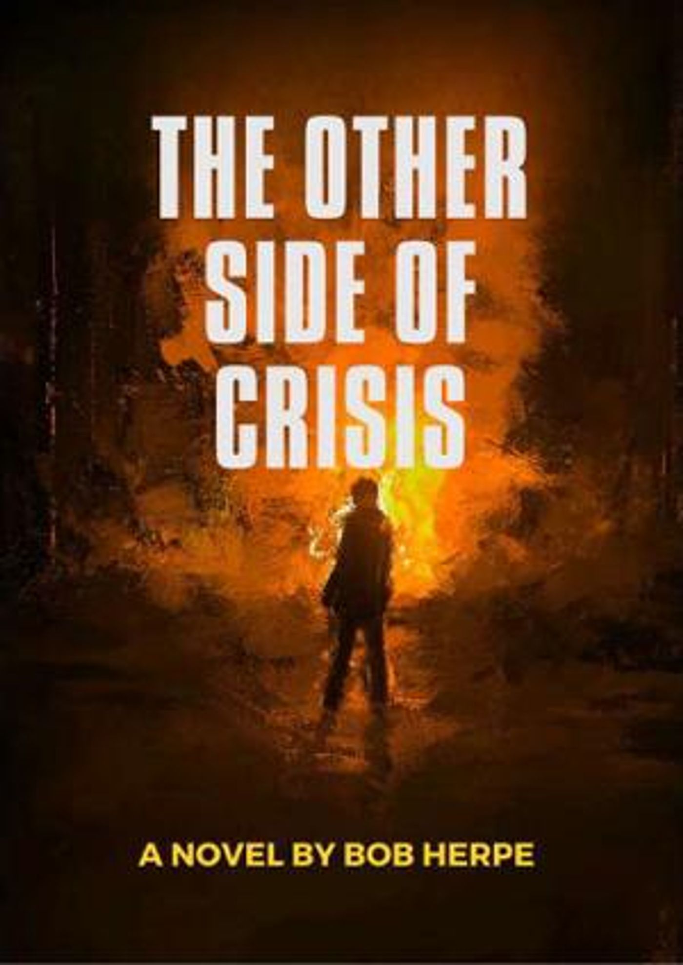 Bob Herpe Releases His Second Book THE OTHER SIDE OF CRISIS  Image