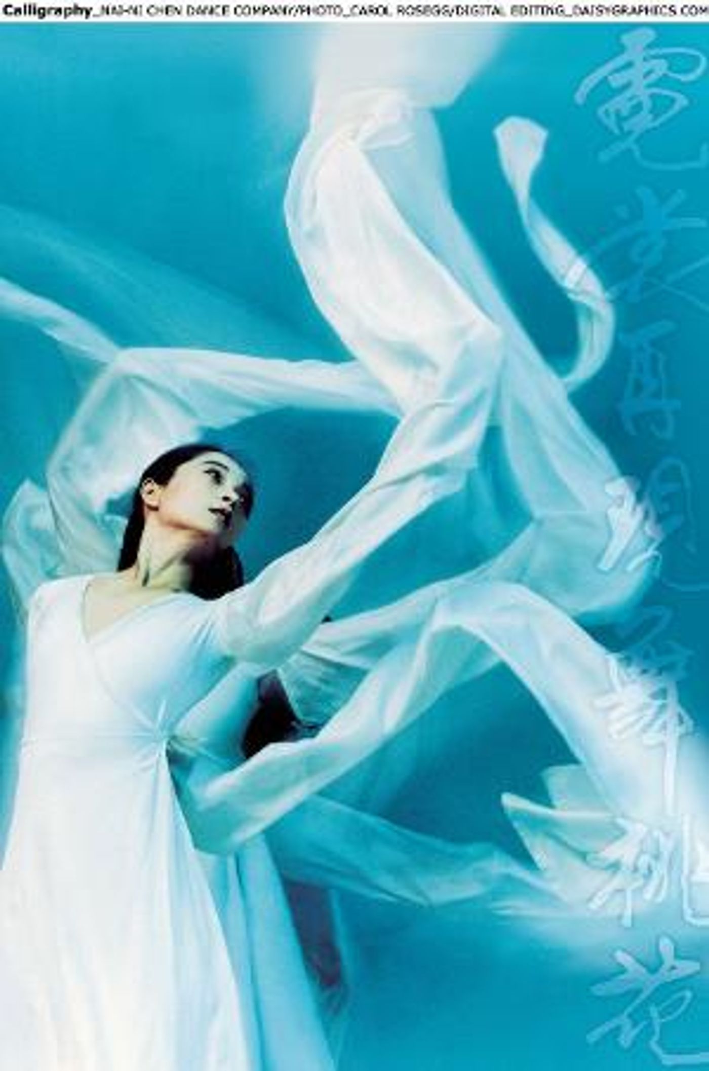 Nai-Ni Chen Named 'Distinguished Service To The Field' Award Winner, in the 2020 Association Of Teaching Artists Awards  Image