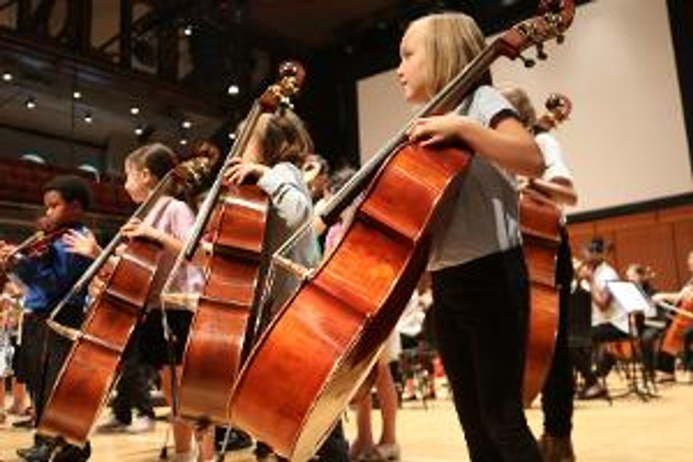 Musicopia String Orchestra Will Hold First Concert of the Season in February  Image