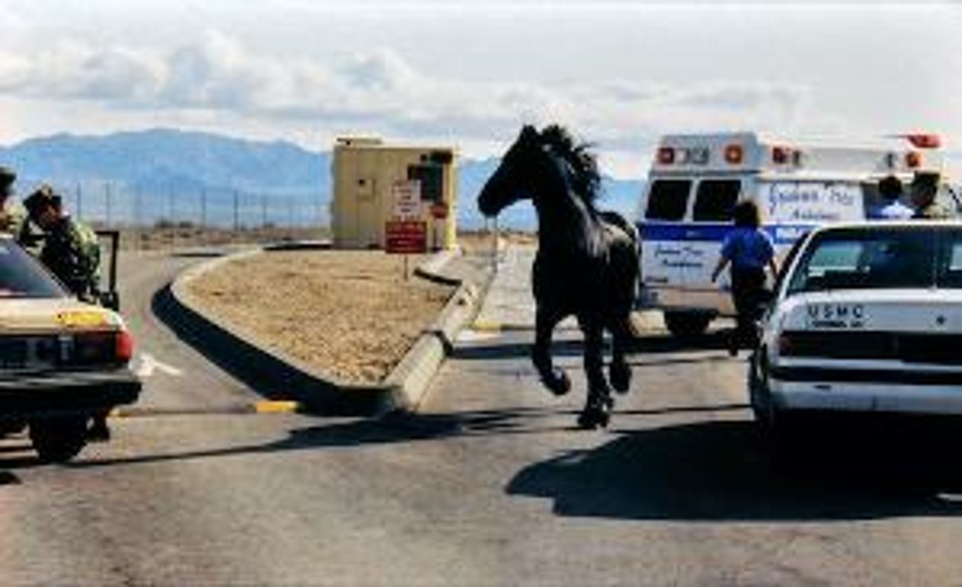 New Restoration of Nina Menkes' THE BLOODY CHILD to Premiere at 2021 New York Film Festival  Image